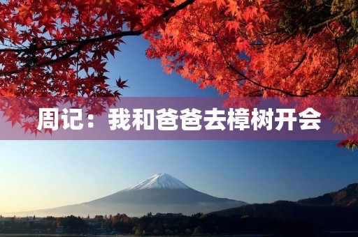 周记:我和爸爸去樟树开会 周记:我和爸爸去樟树开会