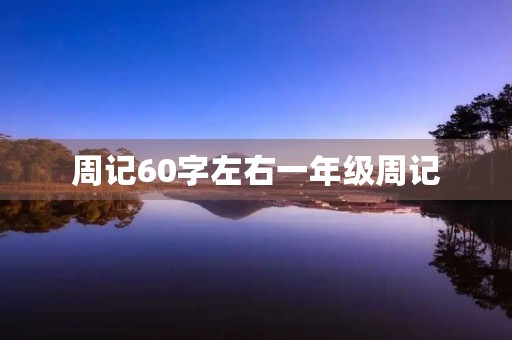 周记60字左右一年级周记