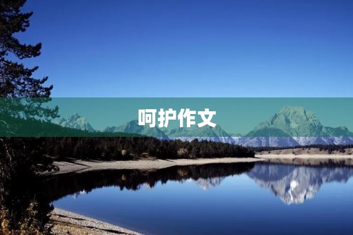 呵护作文
