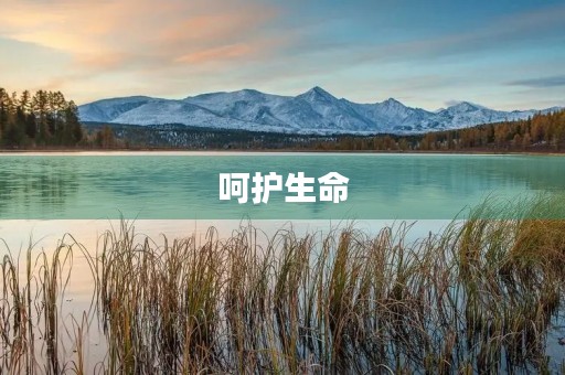 呵护生命，从我们做起