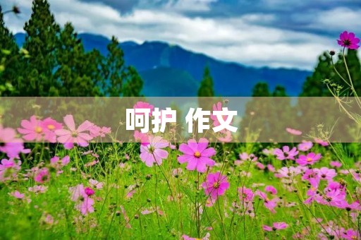 呵护 作文 呵护 作文