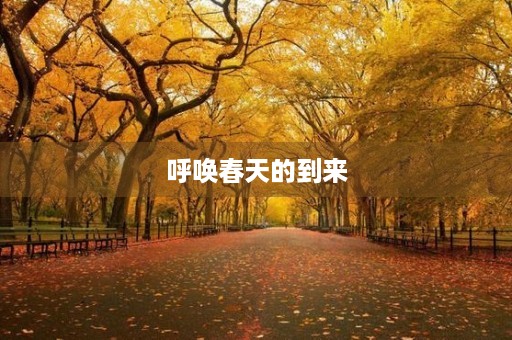 呼唤春天的到来