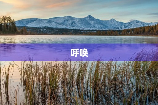呼唤,让我们追寻内心的声音 呼唤,让我们追寻内心的声音