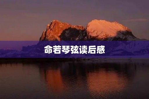 命若琴弦读后感