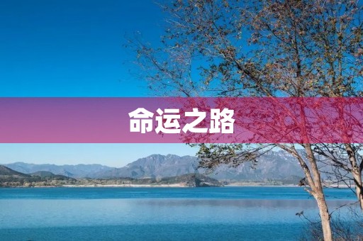 命运之路 命运之路