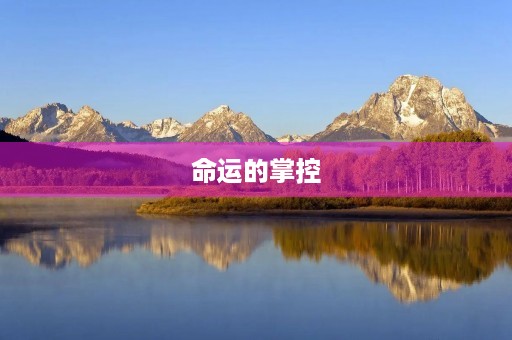 命运的掌控