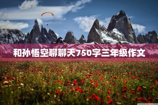 和孙悟空聊聊天750字三年级作文