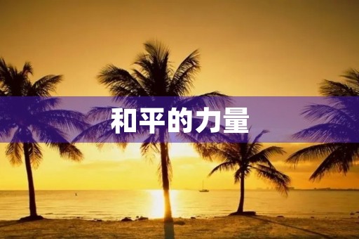 和平的力量 和平的力量