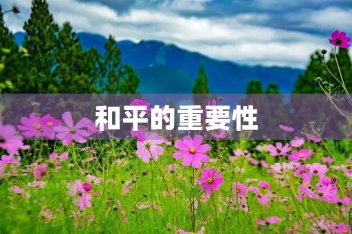 和平的重要性