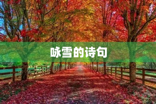咏雪的诗句