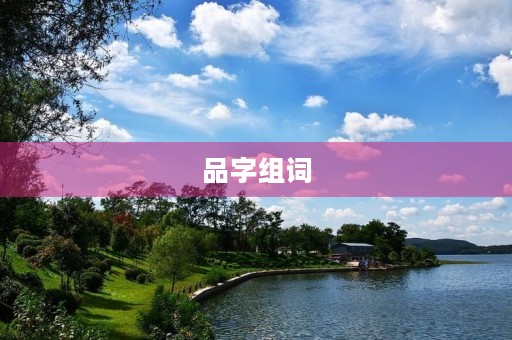 品字组词(品组词)