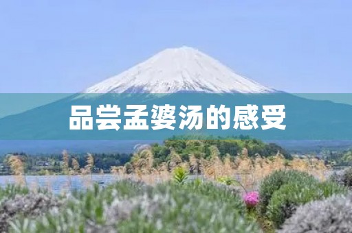 品尝孟婆汤的感受