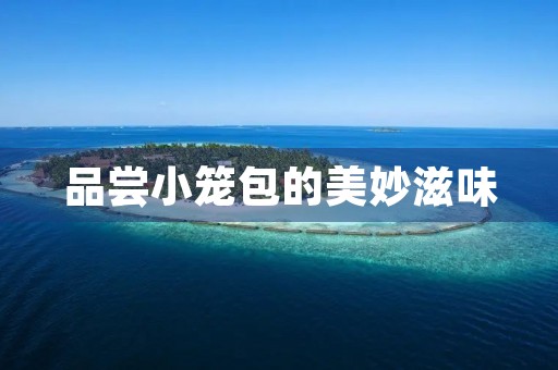 品尝小笼包的美妙滋味 品尝小笼包的美妙滋味