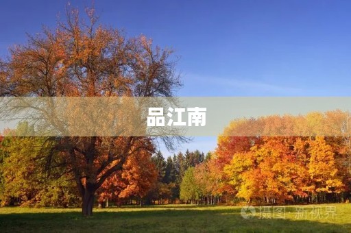 品江南 品江南