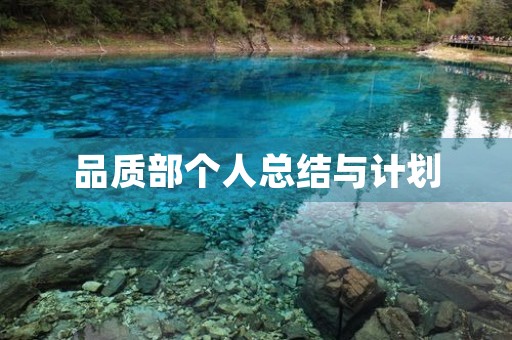 品质部个人总结与计划
