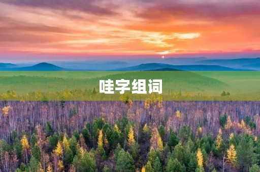 哇字组词(哇的组词)