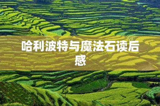 哈利波特与魔法石读后感 哈利波特与魔法石读后感