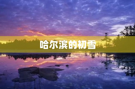 哈尔滨的初雪 哈尔滨的初雪