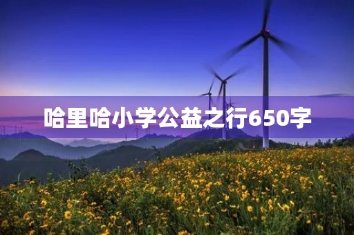哈里哈小学公益之行650字