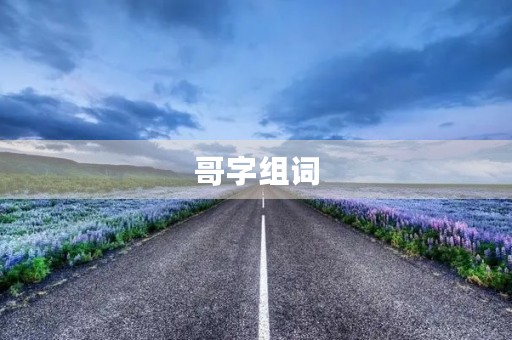 哥字组词(哥的组词)