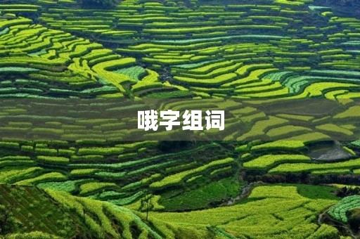 哦字组词(哦组词组) 哦字组词(哦组词组)