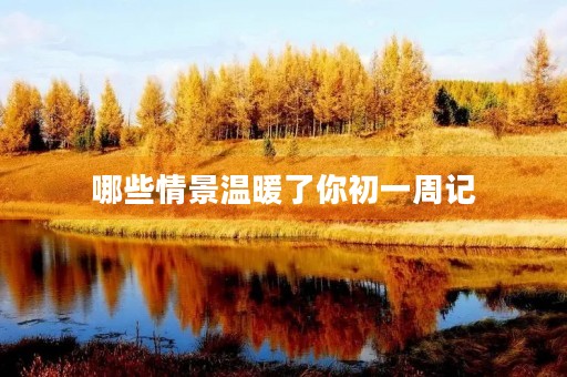 哪些情景温暖了你初一周记 哪些情景温暖了你初一周记