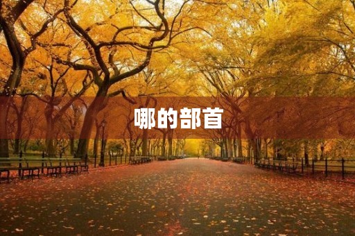 哪的部首(哪的部首)