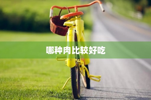 哪种肉比较好吃 哪种肉比较好吃