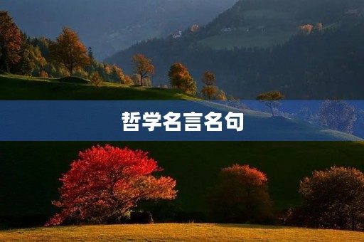 哲学名言名句(中国哲学名言名句) 哲学名言名句(中国哲学名言名句)