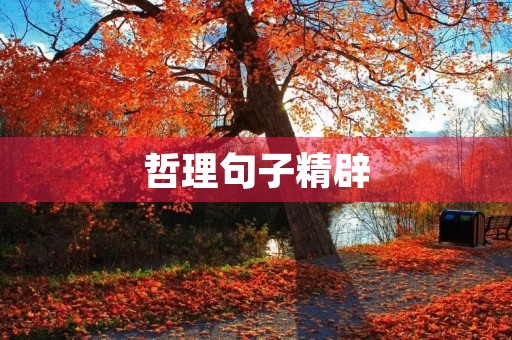 哲理句子精辟(哲理句子精辟短句名言) 哲理句子精辟(哲理句子精辟短句名言)