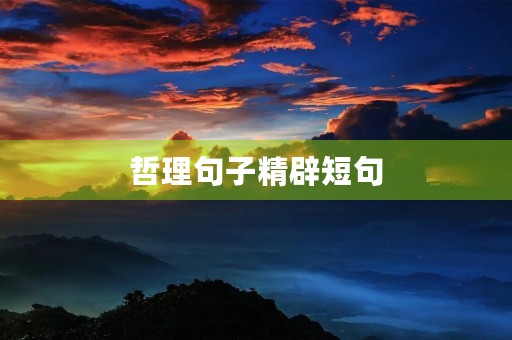哲理句子精辟短句，感情哲理句子精辟短句