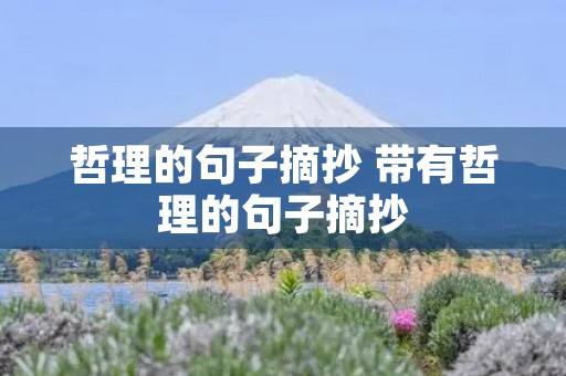 哲理的句子摘抄 带有哲理的句子摘抄
