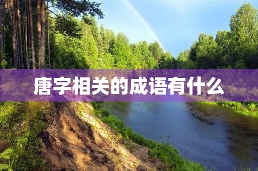 唐字相关的成语有什么