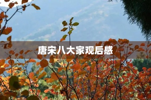 唐宋八大家观后感 唐宋八大家观后感