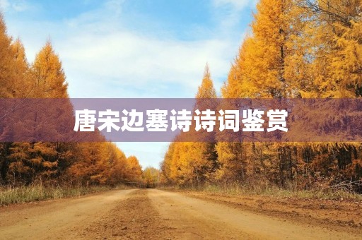 唐宋边塞诗诗词鉴赏
