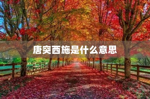唐突西施是什么意思