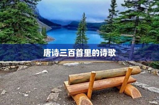 唐诗三百首里的诗歌