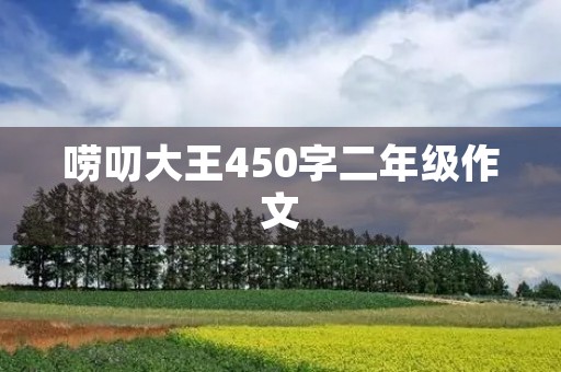 唠叨大王450字二年级作文