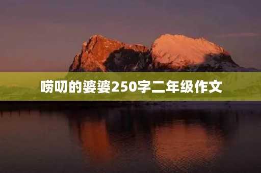 唠叨的婆婆250字二年级作文