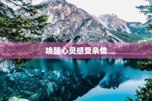 唤醒心灵感受亲情