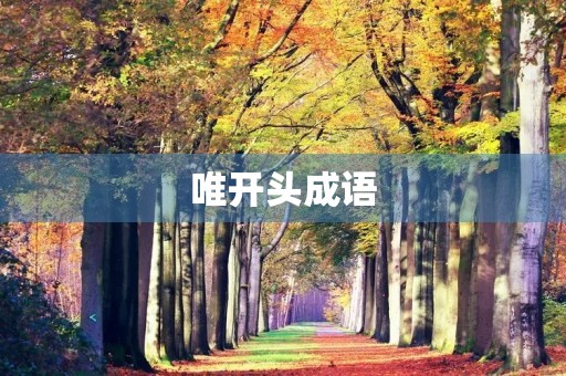 唯开头成语