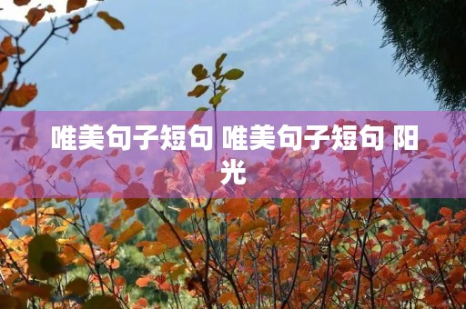 唯美句子短句 唯美句子短句 阳光 唯美句子短句 唯美句子短句 阳光