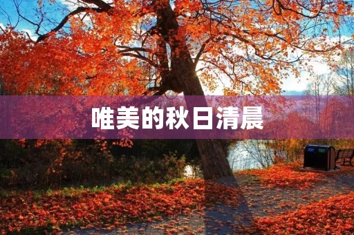 唯美的秋日清晨