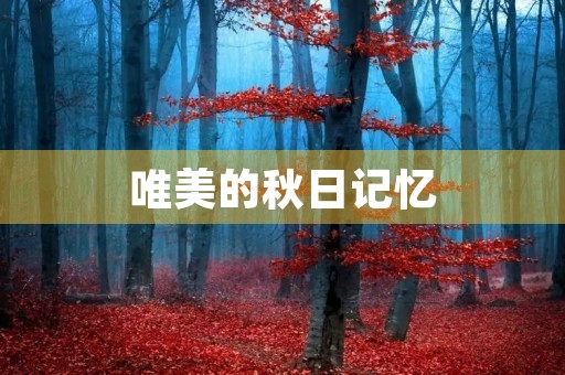唯美的秋日记忆