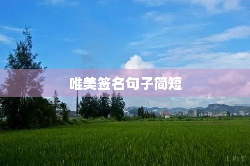 唯美签名句子简短(唯美签名句子简短4字)