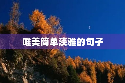 唯美简单淡雅的句子(唯美简单淡雅的句子图片)