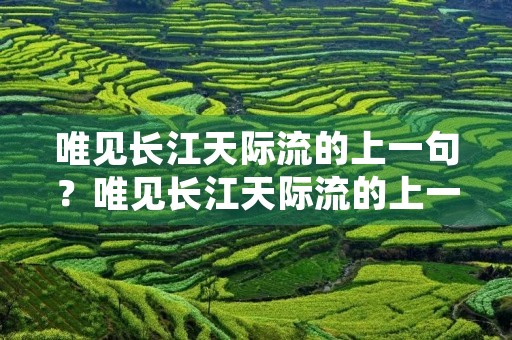 唯见长江天际流的上一句？唯见长江天际流的上一句是什么？ 百度网盘