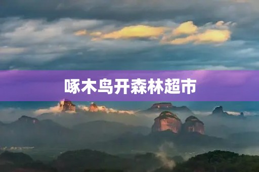 啄木鸟开森林超市，给城市带来更多绿色生活