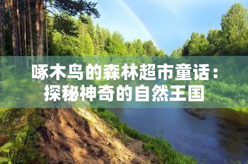 啄木鸟的森林超市童话：探秘神奇的自然王国