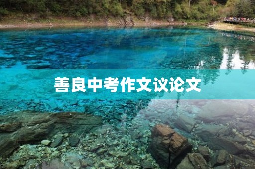 善良中考作文议论文
